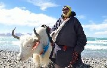 Magical 8 Days 7 Nights Nubra Valley Trip Package
