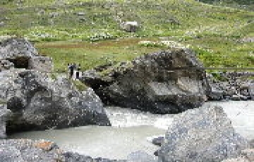 Beautiful 5 Days 4 Nights Rohtang Waterfall Tour Package