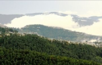 Experience 9 Days 8 Nights Shimla Romantic Tour Package