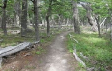 Memorable 8 Days 7 Nights Delhi Nature Tour Package