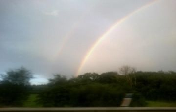 Culture and Heritage Tour Package from Singapore