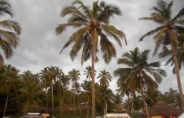 Ecstatic 5 Days 4 Nights cochin Vacation Package