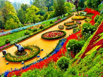 Amazing 4 Days Ooty Honeymoon Vacation Package