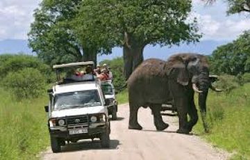 Beautiful 5 Days 4 Nights Ngorongoro Nature Vacation Package