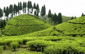 6 Days Siliguri to Gangtok Tour Package