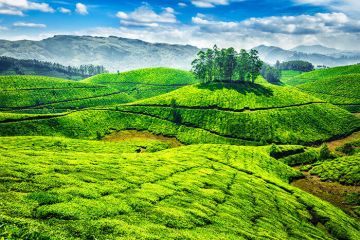 Magical 8 Days 7 Nights Munnar Beach Tour Package