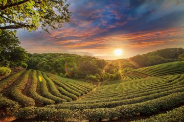 Ecstatic 5 Days 4 Nights Thekkady Beach Tour Package