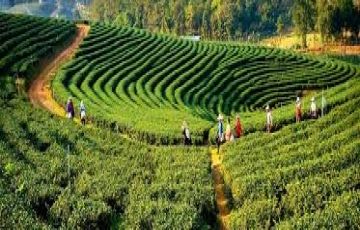Amazing 3 Days 2 Nights Darjeeling Family Trip Package