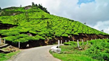Family Getaway 7 Days Munnar Hill Vacation Package