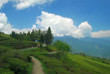 7 Days 6 Nights Siliguri to Gangtok Trip Package