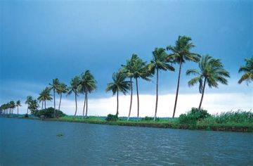 Best 7 Days Kochi to Thekkady Tour Package