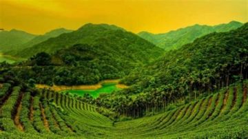 Magical 6 Days Thekkady Friends Holiday Package