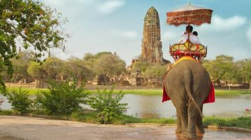 Amazing Pattaya Tour Package for 3 Days 2 Nights