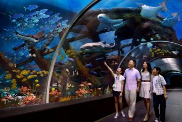 Pleasurable 4 Days 3 Nights Singapore Beach Vacation Package