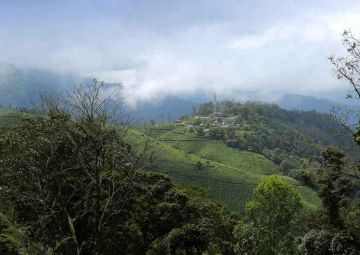 Amazing 3 Days 2 Nights Alleppey Honeymoon Trip Package