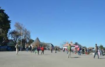 5 Days 4 Nights Shimla Wildlife Vacation Package