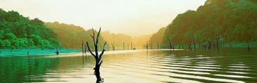 Family Getaway Thekkady Tour Package from Kochi