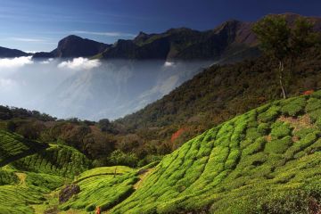 Family Getaway Thekkady Tour Package from Kochi