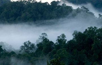 Ecstatic 6 Days 5 Nights Munnar Wildlife Holiday Package