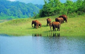 Beautiful 5 Days 4 Nights munnar, thekkady, alleppey and cochin Holiday Package