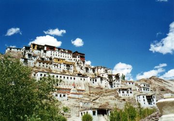 10 Days 9 Nights Jispa Wildlife Trip Package