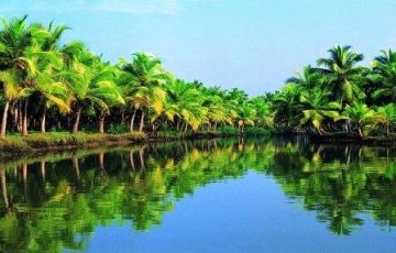 Pleasurable 6 Days 5 Nights Kochi, Munnar, Alleppey and Thekkady Tour Package