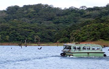 8 Days 7 Nights Trivandrum to Cochin Romantic Holiday Package