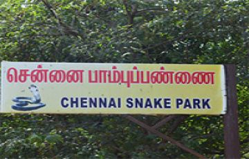 Memorable 3 Days Pune to Tirupati Tour Package