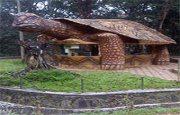 8 Days 7 Nights Trivandrum to Cochin Romantic Holiday Package