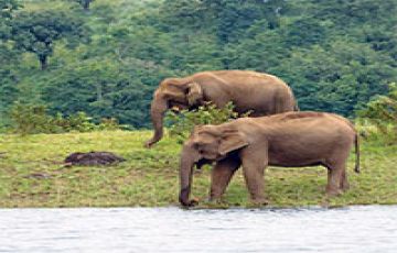 8 Days 7 Nights Trivandrum to Cochin Romantic Holiday Package