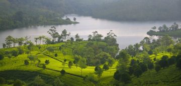 Experience 7 Days 6 Nights Munnar Honeymoon Trip Package