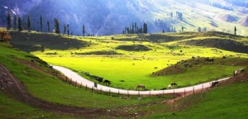 5 Days 4 Nights Kashmir Mountain Trip Package