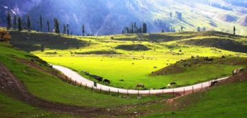 Amazing 6 Days Srinagar to Kashmir Friends Trip Package