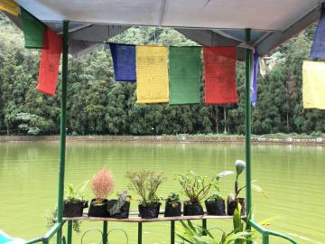 SIKKIM SILK ROUTE WITH NEORA VALLEY