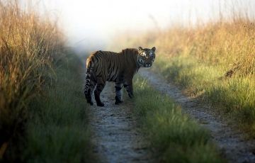 6 Days 5 Nights Cochin Weekend Getaways Trip Package