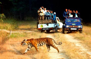Magical 3 Days 2 Nights Jim Corbett Park Vacation Package