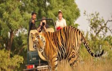 Experience 2 Days 1 Night Shivpuri Beach Tour Package