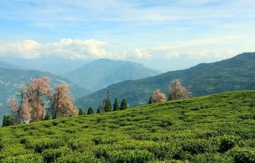 Amazing 3 Days 2 Nights Darjeeling Family Trip Package