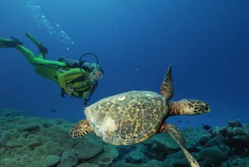 Memorable Agatti Water Activities Tour Package for 6 Days