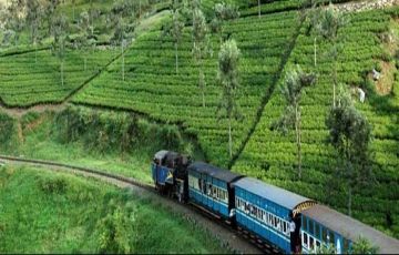 Magical 3 Days 2 Nights Coonoor Weekend Getaways Vacation Package