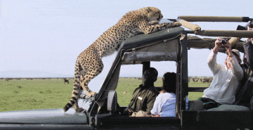 Family Getaway 5 Days 4 Nights Iringa Region Holiday Package