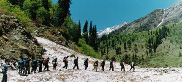 Ecstatic 5 Days 4 Nights Shimla, Kapla and Sangla Holiday Package