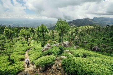 5 Days 4 Nights Nuwara Eliya Waterfall Trip Package