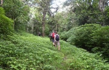 6 Days 5 Nights Cochin Weekend Getaways Trip Package