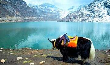 Heart-warming 8 Days Siliguri to Gangtok Historical Places Holiday Package