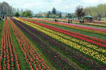 Beautiful 6 Days 5 Nights Dal Lake Trip Package