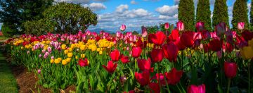 Best 5 Days Srinagar, Pahalgam, Gulmarg with Sonamarg Tour Package