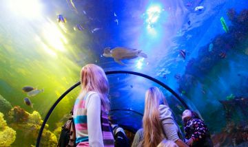 Beautiful 5 Days Delhi to Kyiv City Family Trip Package