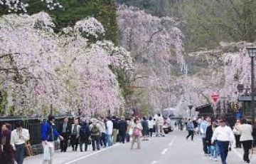 Japan 4 Days/3 Nights  Tour  (3 Days in Tokyo) (2 PAX & Abov