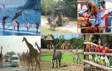 Best Thailand Tour Package @ Rs.10000